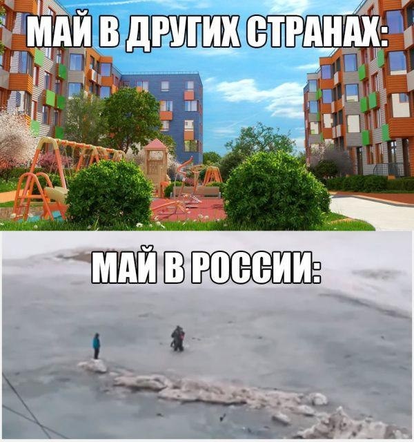 Смешные картинки с надписями прикол, юмор