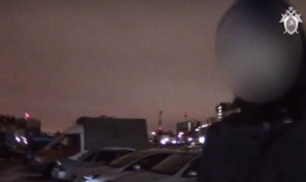 В Санкт-Петербурге установлены причастные к поджогу автомобиля местной жительницы