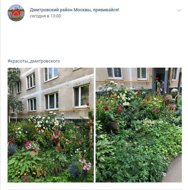 Фото дня: цветочный сквер на Яхромской улице