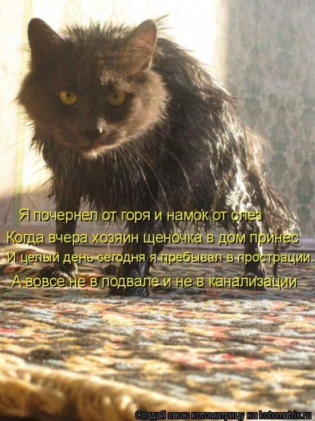 Мысли вслух :)