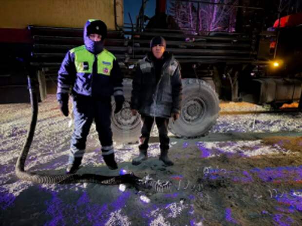 В ХМАО - Югре сотрудники Госавтоинспекции помогли оперативно ликвидировать возгорание грузового автомобиля