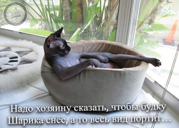 вид портит…