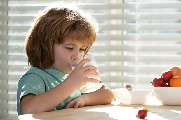 Назван снижающий риск ожирения продукт