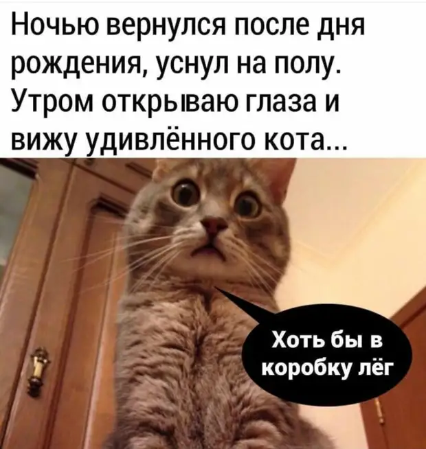 Люблю смотреть индийские фильмы про Вторую мировую войну. Особенно когда Гитлер поет и танцует Люблю смотреть индийские фильмы про Вторую мировую войну. Особенно когда Гитлер поет и танцует любовью, занимается, когда, женщин, через, актив, мужчины, мужчина, Почему, кредитная, всегда, помнить, собой, карточку, посмотреть, повторить, карточкаВ, пивбаре, видел, трудно
