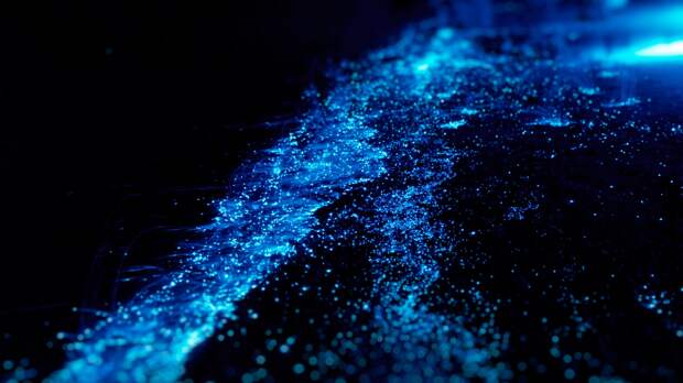 bioluminescence in water