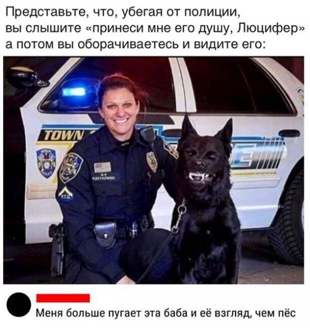 Прикольные и смешные картинки