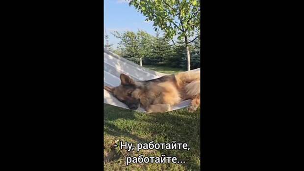 Video: Видео от Донецкая группа новостей|Донецк.ДНР