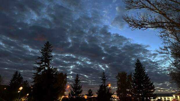 Такой день. Госпитализация 11 детей и молитва во спасение Telegram