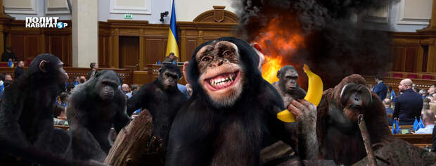 Владимир Зеленский требует лишать виз депутатов Верховной рады, которые не проголосуют за ратификацию сделки...