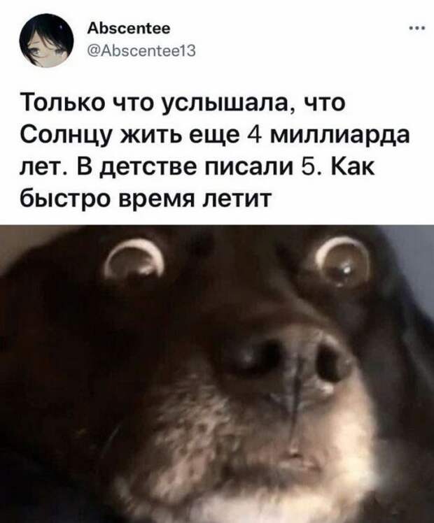 Скрины из соцсетей