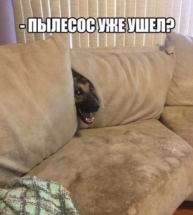 Прикольные фото