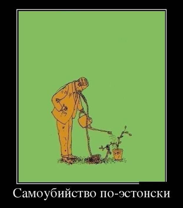 Демотиваторы + подборочкой для хорошего настроения демотиваторы, прикол, юмор