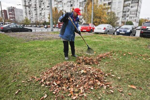Весенняя уборка стартовала в Ленинградской области