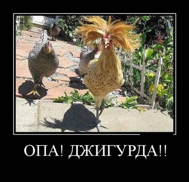 Женщина рассказывает подругам:- Мой муж предложил мне подарок на 8 Марта...