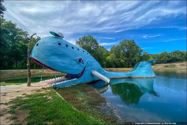 Появился он в США в 1972 году