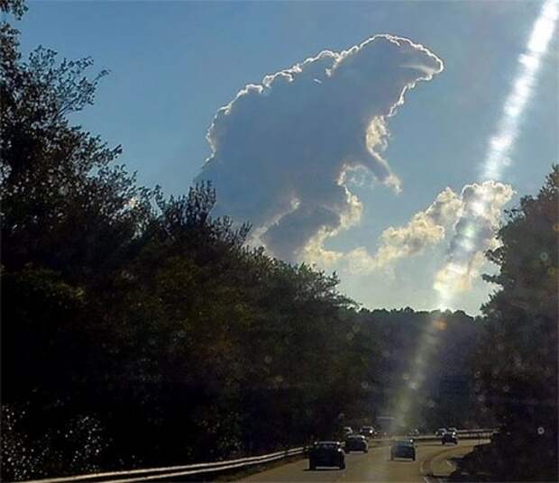 Забавные примеры парейдолии