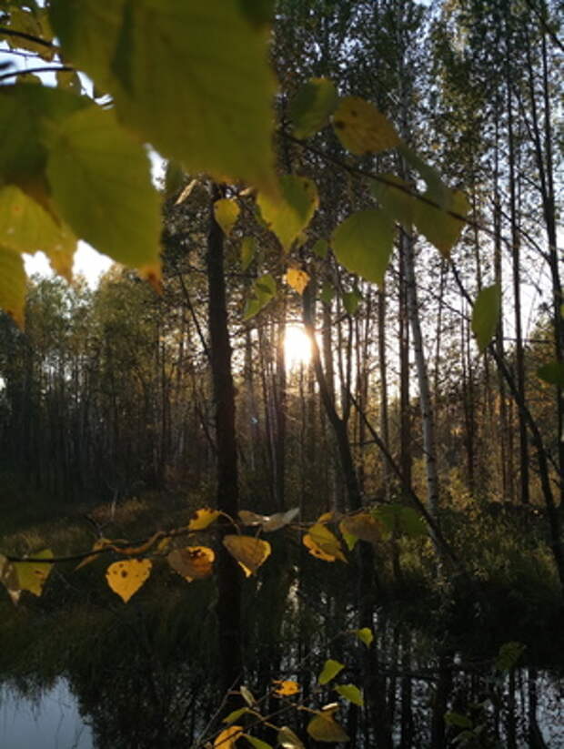 Фото на камеру Meizu MX6