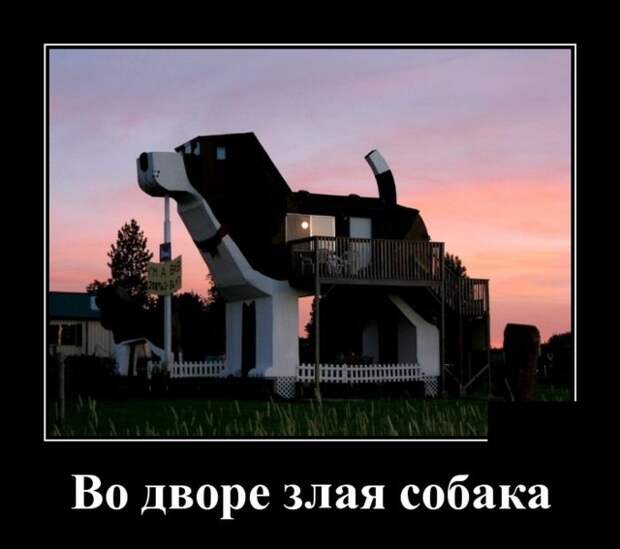 Демотиваторы (30 фото)