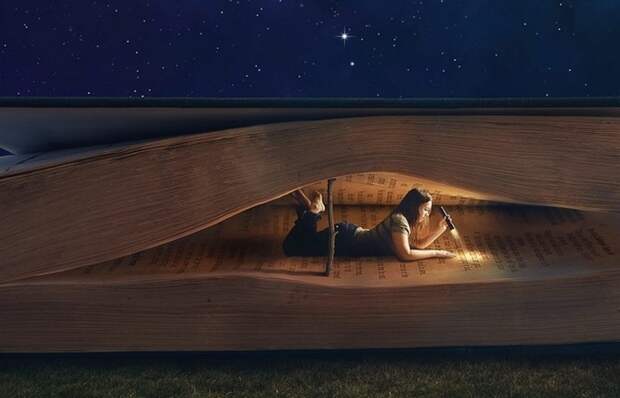 Книги, которые читаются на одном дыхании за ночь. Книги, которые читаются на одном дыхании за ночь.