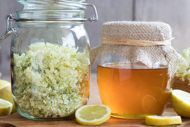 Приготовьте ароматный мед из бузины