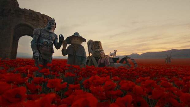 В Гатчине пройдет кинофестиваль «Литература и кино»