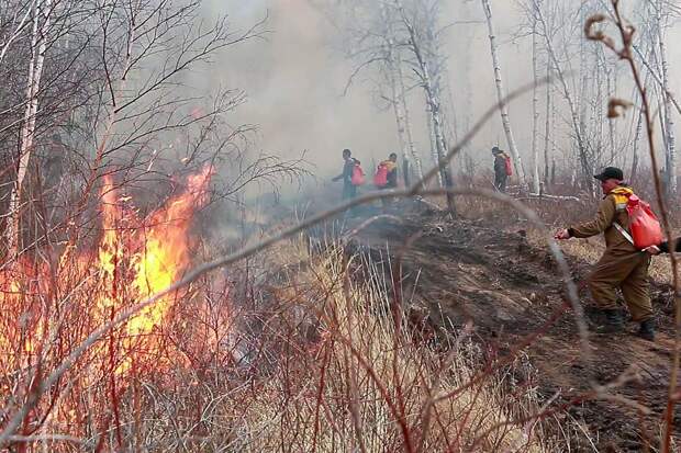 Рослесхоз: в России в 2026 году откроется 11 новых авиаотделений