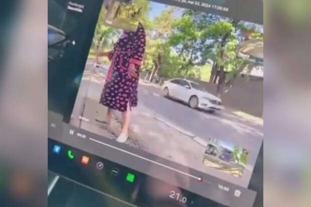 В Кишиневе Tesla записала, как ее царапает пенсионерка за парковку на газоне