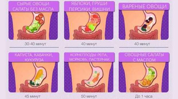Памятка: как долго переваривается разная пища