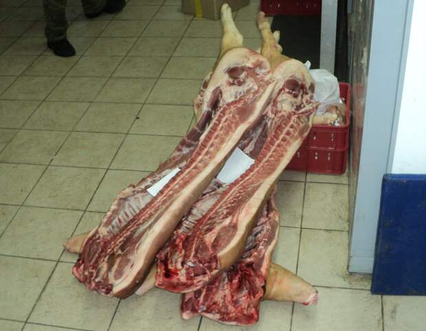 В Рязанской области на убойном пункте нашли «букет» нарушений, угрожающих здоровью людей