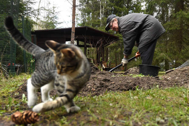 Дачников призвали провести ряд работ в марте