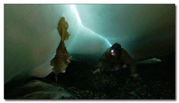 4. Эскимосы добывают мидии в ледяных пещерах