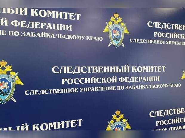 Следком проверит информацию о неоказании помощи девочке, потерявшей зрение