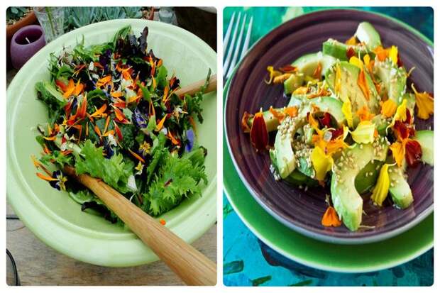 Бархатцы иногда называют "шафраном для бедняков" за насыщенный цвет, который они добавляют в рецепты. Используйте их, чтобы украсить салат. Или попробуйте нарезать горсть и смешать ее с ростками фасоли, нарезанной соломкой морковью и резанным зеленым луком. В качестве начинки для веганского летнего рулета.