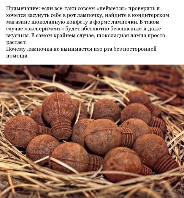 www.vsyako.net
