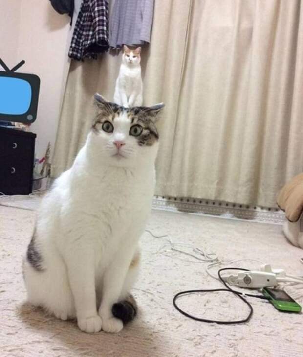 Снимки, на которые стоит посмотреть дважды