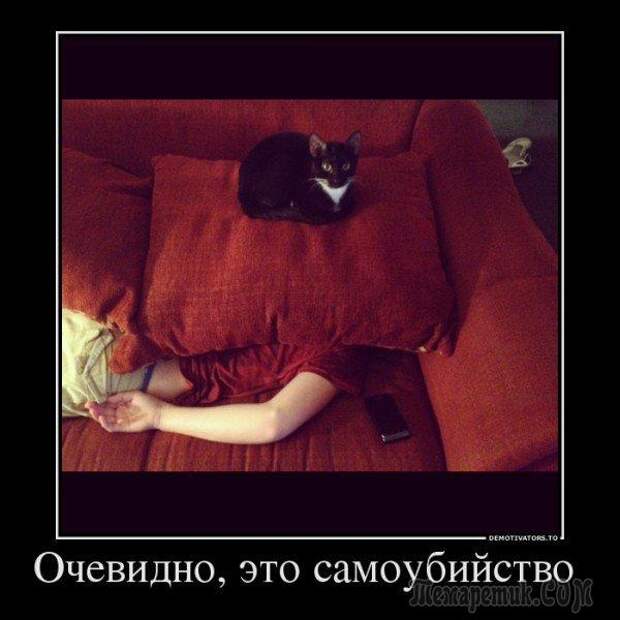 Демотиваторы для настроения