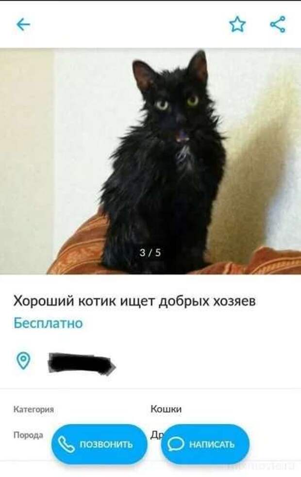 Смешные комментарии. Подборка chert-poberi-kom-chert-poberi-kom-09371212082020-3 картинка chert-poberi-kom-09371212082020-3