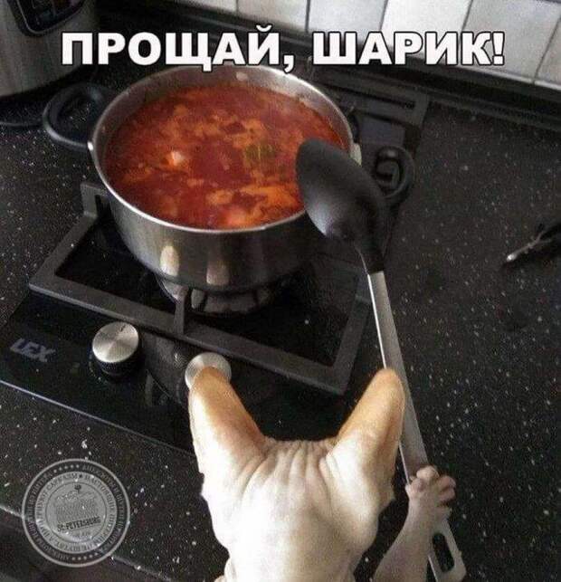 Прощай, Шарик!