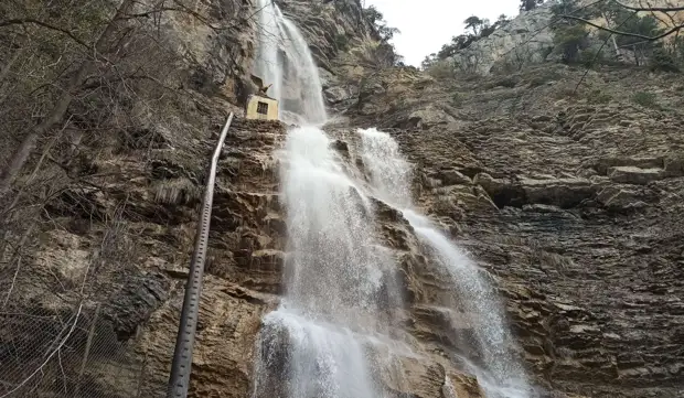 РИА ФАН/ Дарья Сергеева