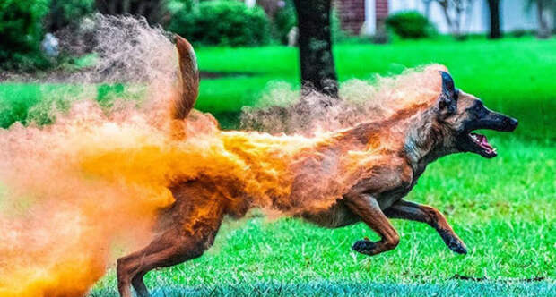 25 поразительных фото, на которых нет фотошопа