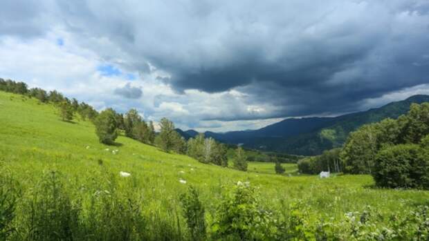 Горный Алтай / Фото: Екатерина Смолихина / amic.ru