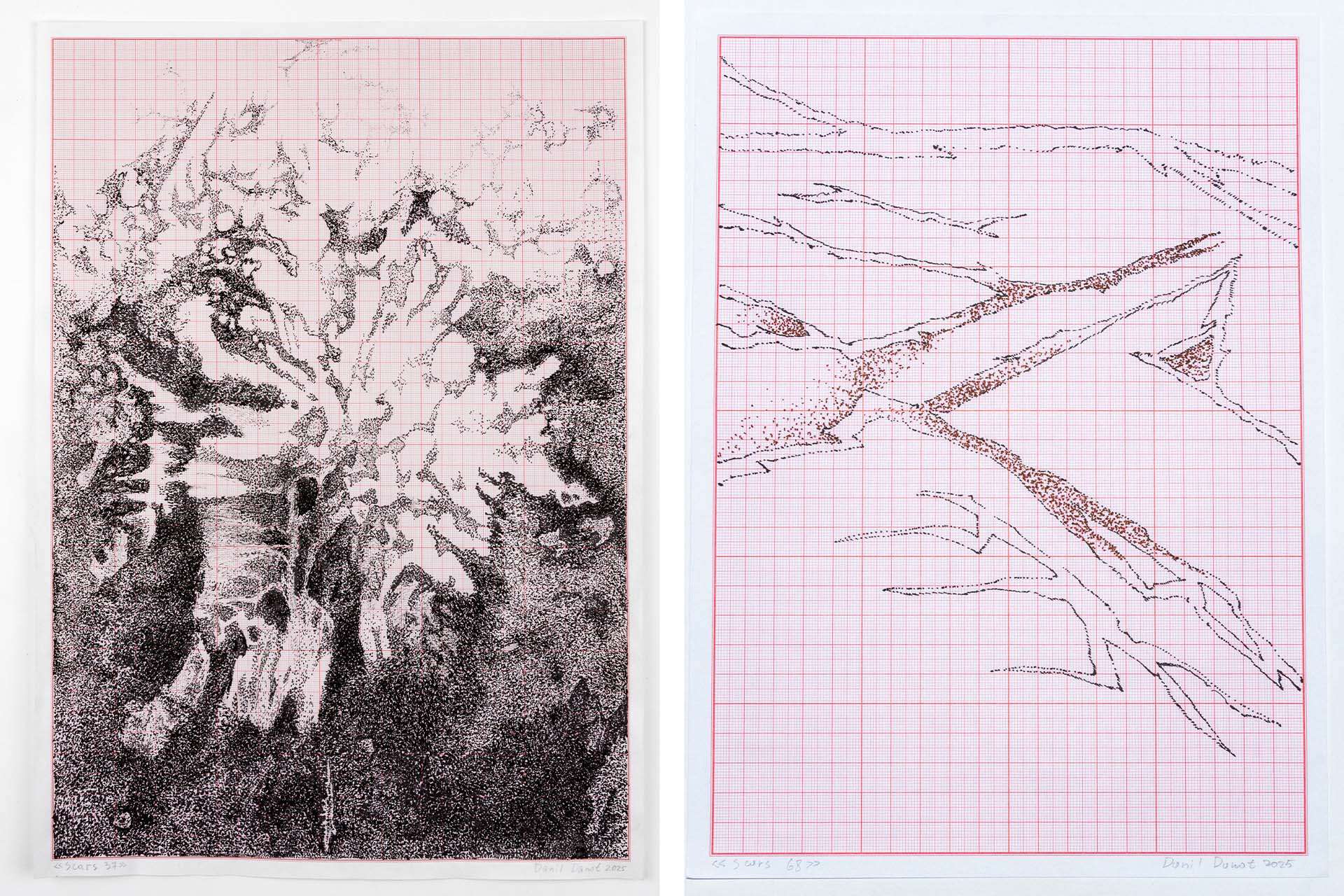 Danil Danot, Scars 37 / 68