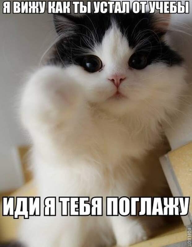 2iPAZLZNrxE