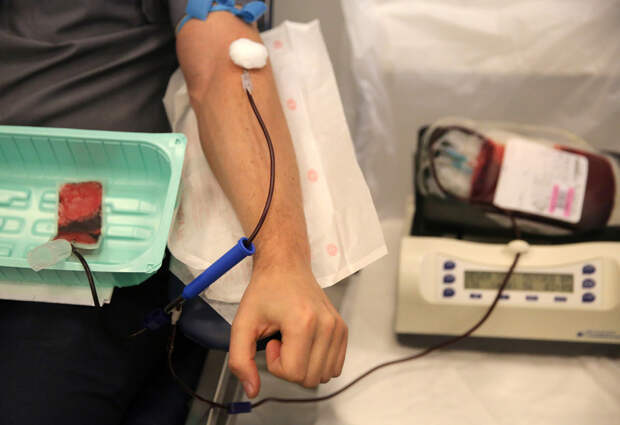 Муринские активисты соберут кровь жителей для собственных нужд 