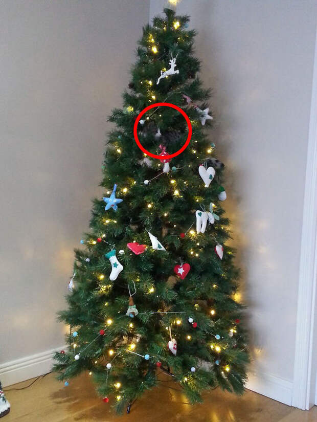 find-hidden-cat-camouflage-hide-and-seek-catouflage-177