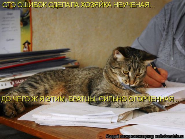 Лучшие котоматрицы недели (50 фото)