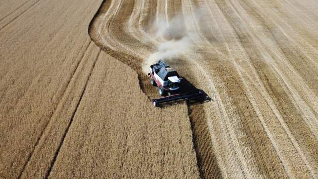 "Страшно даже подумать". Финские фермеры в ужасе: ситуация ухудшается