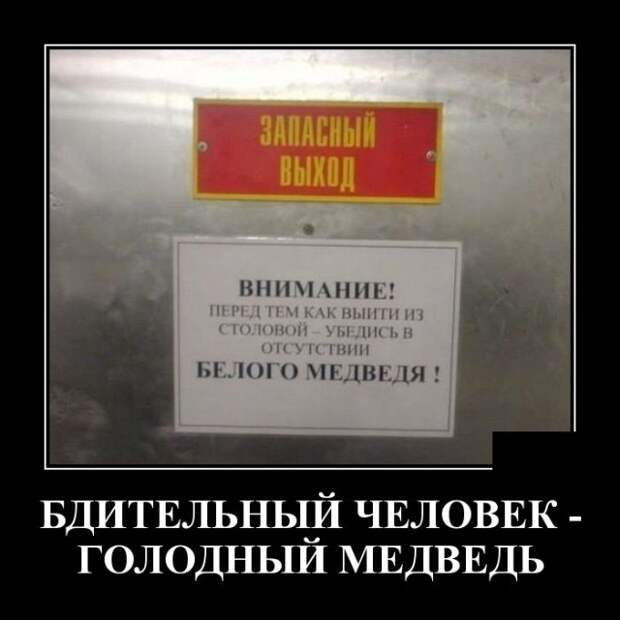 Демотиваторы