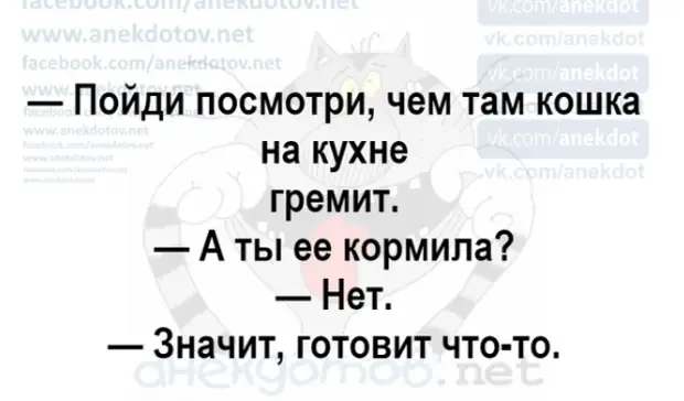 Пойду узнаю. Пойди посмотри чем там кошка на кухне. Чем там кошка на кухне гремит. Кошка на кухне готовит анекдот. Кошка на кухне гремит готовит.