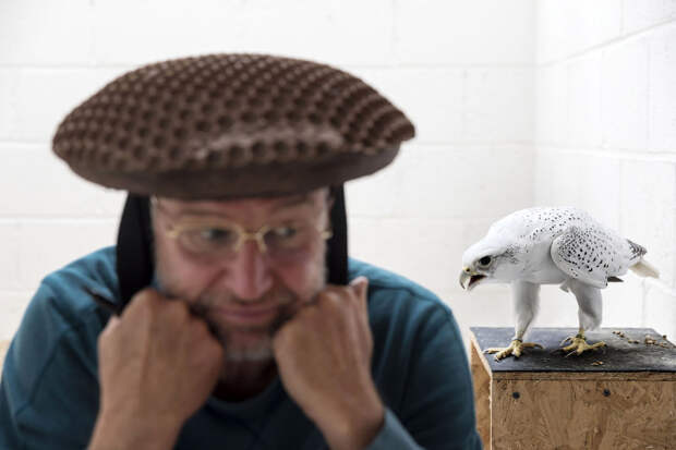 Заводчик соколов Говард Уоллер в специальной шляпе для заманивания птиц в Элгине, Шотландия